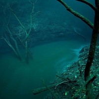 Underwater River, Cenote Angelita, Mexico
