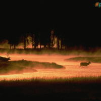 Dusk or Dawn?