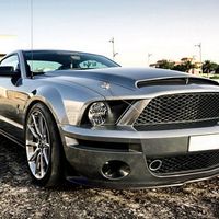 Another Mustang for Fossil