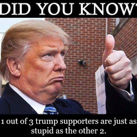 not many people know there's a b in dumb