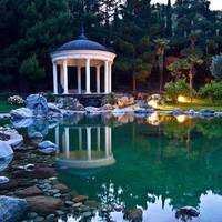 Fish_Pond