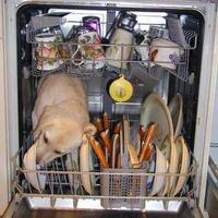 dishwasher