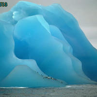 Beautiful blue iceberg
