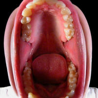 Thats a mouth
