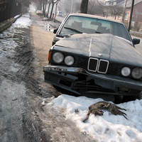 BMW vs. housecat