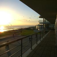 Warr Sun
