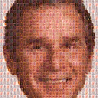 More Bush