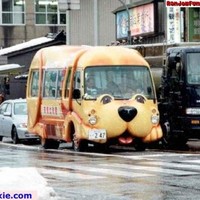 Dog Bus
