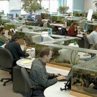 The cubic aquarium