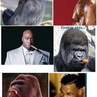 Evolution
