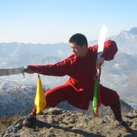 wu shu kung fu