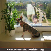 www.whereisshadezsister.org - Fun Games to Play