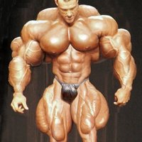 My muscles