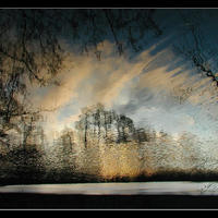 Ripples in the water