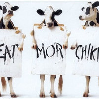 Eat more Chicken