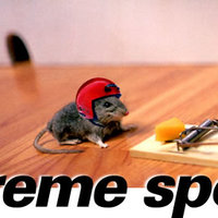 Sport Extreme