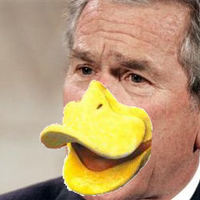 Quack ! .. Quack !