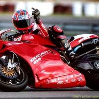 Foggy's finger...