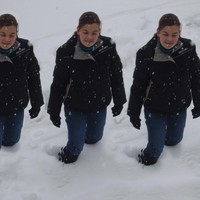 cloned or lookalike