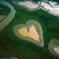 Love from Earth
