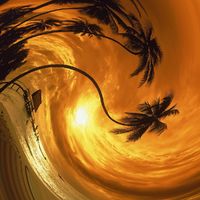 twirlin palms - pigion point