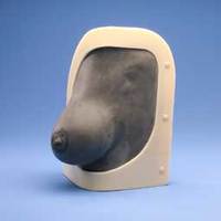 Breastmilk Hand Expression Trainer