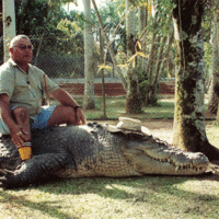 The real Crocodile Hunter