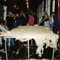 Rating the wool