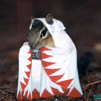 Mouse monk