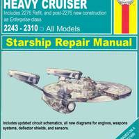 Starship repairing guide