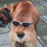 A picture of my boss