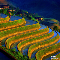 China3