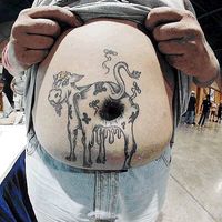 The cow belly