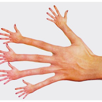 Hands on hands