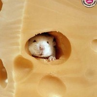 The portrait of contentment