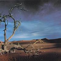 Desert
