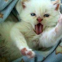 Wakey wakey