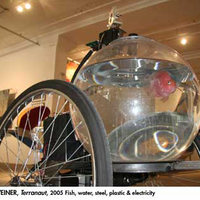 The fish that needed a bicycle...