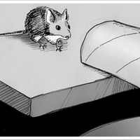 He built a better mousetrap...