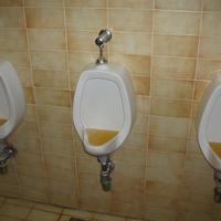 NIce Toilet