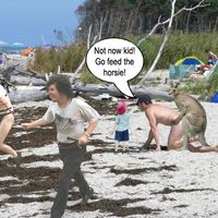 This is funny