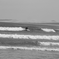 surfin 90mile beach