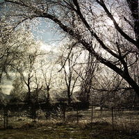 Ice Storm