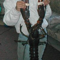 I've got your arthropoda right here.