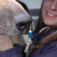 Don't take a dog fishing 2