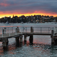 Rose bay