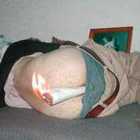 Anyone for a spliff?