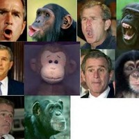 George of the jungle