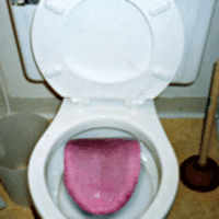 Toilet with inbuilt toilet paper