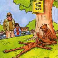 Starving Bears